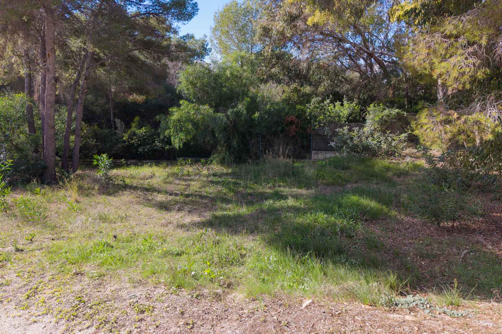 Vlak stedelijk perceel in Moraira, omgeven door volwassen pijnbomen en natuurlijke mediterrane begroeiing, geschikt voor een nieuwbouwproject.