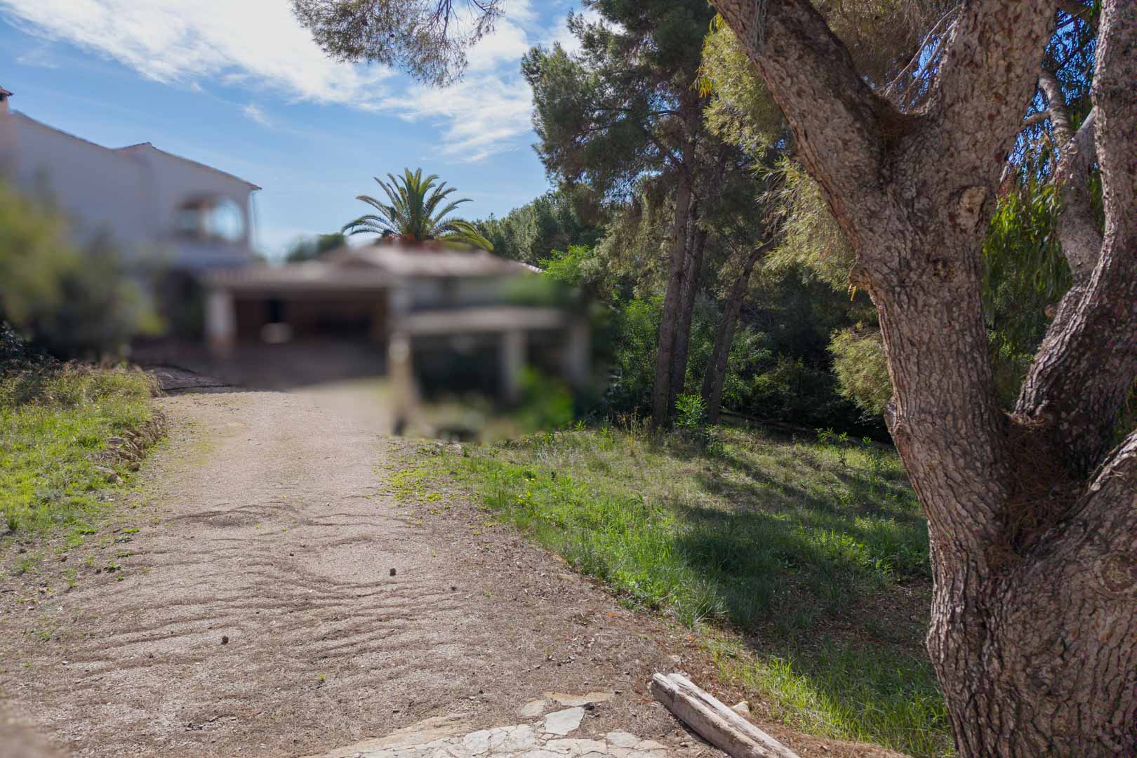 Zicht op het stedelijke perceel met toegangspad, volwassen pijnbomen en mediterrane vegetatie in een gevestigde woonwijk van Moraira.