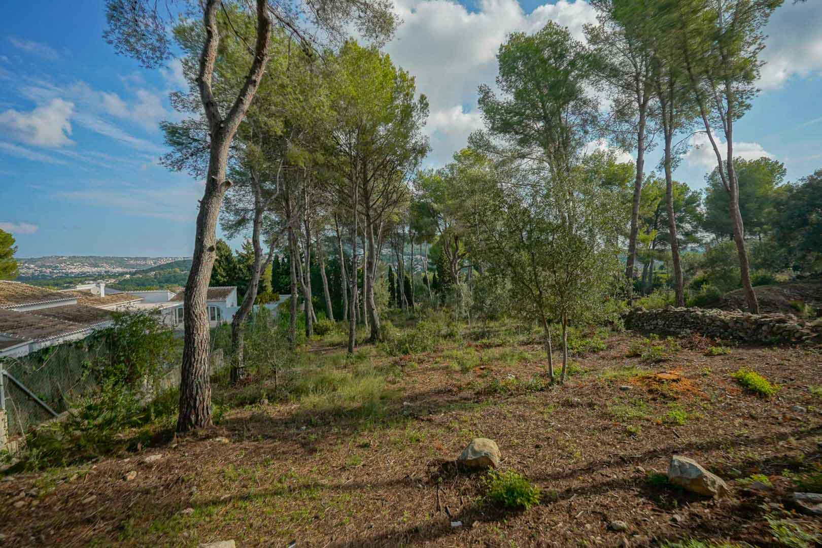 Hooggelegen bouwperceel met volwassen pijnbomen en vrij uitzicht over de vallei, grenzend aan natuurstenen muren en bestaande villa's.