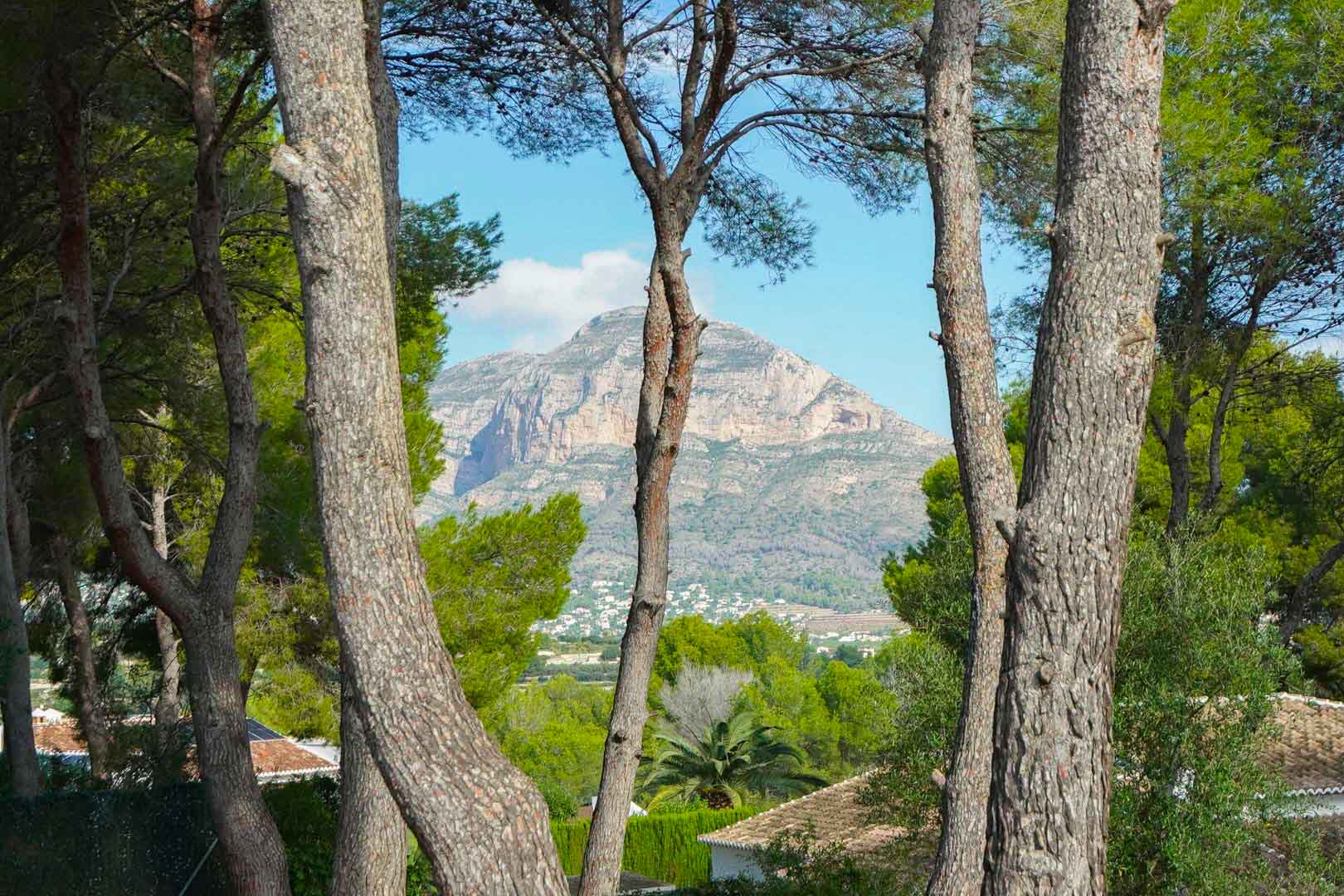 Panoramisch uitzicht op de Montgó-berg, omlijst door volwassen pijnbomen vanaf het perceel in La Lluca, met de natuurlijke omgeving en nabijgelegen villa's.