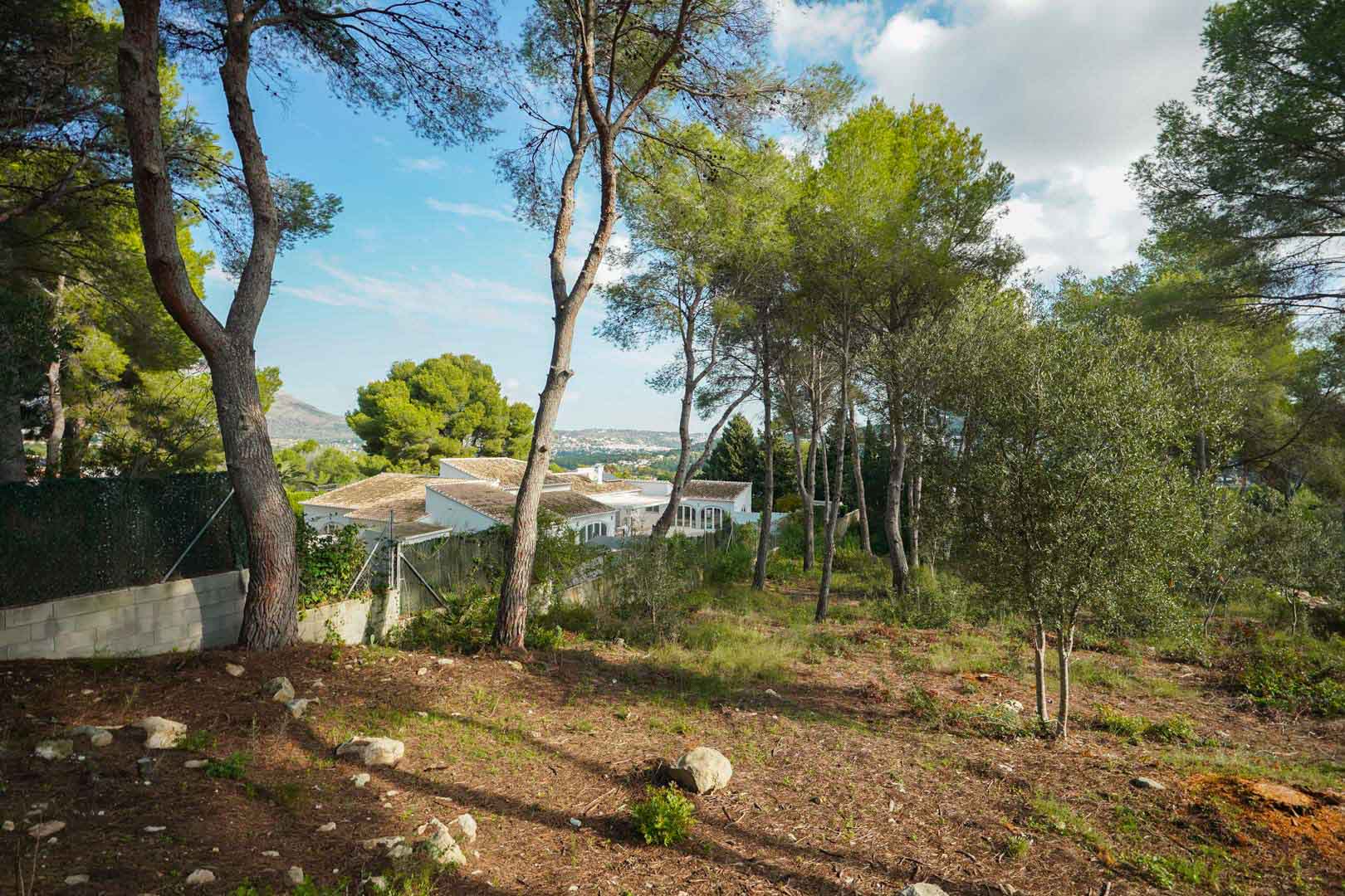 Verhoogd bouwperceel met volwassen pijnbomen en olijfbomen, met uitzicht over de vallei en de omliggende villa's in La Lluca.