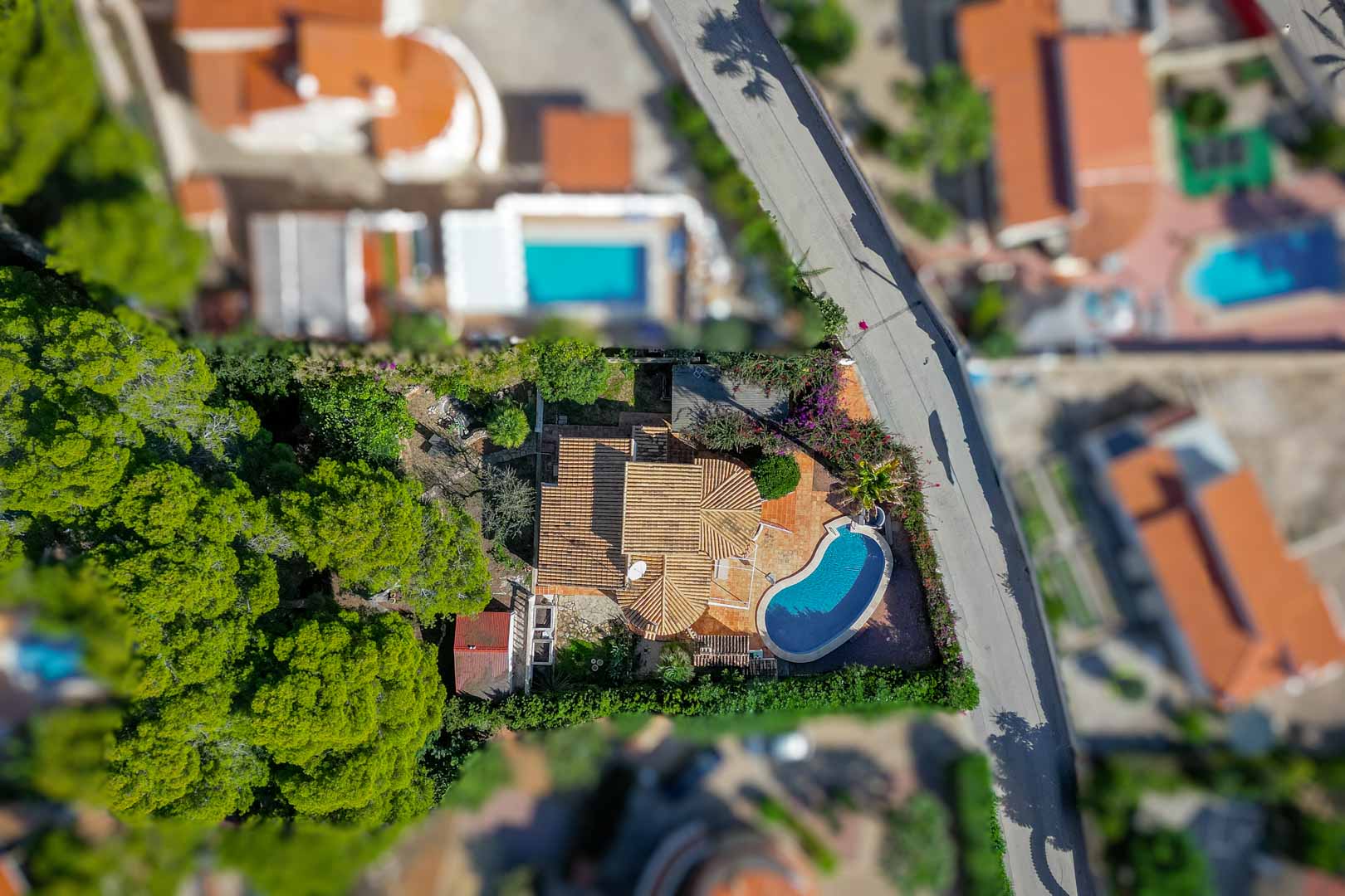 Bovenaanzicht van de villa met terracotta pannendaken, een nierenvormig privézwembad en een volgroeide tuin met pijnbomen en een groene omheining.