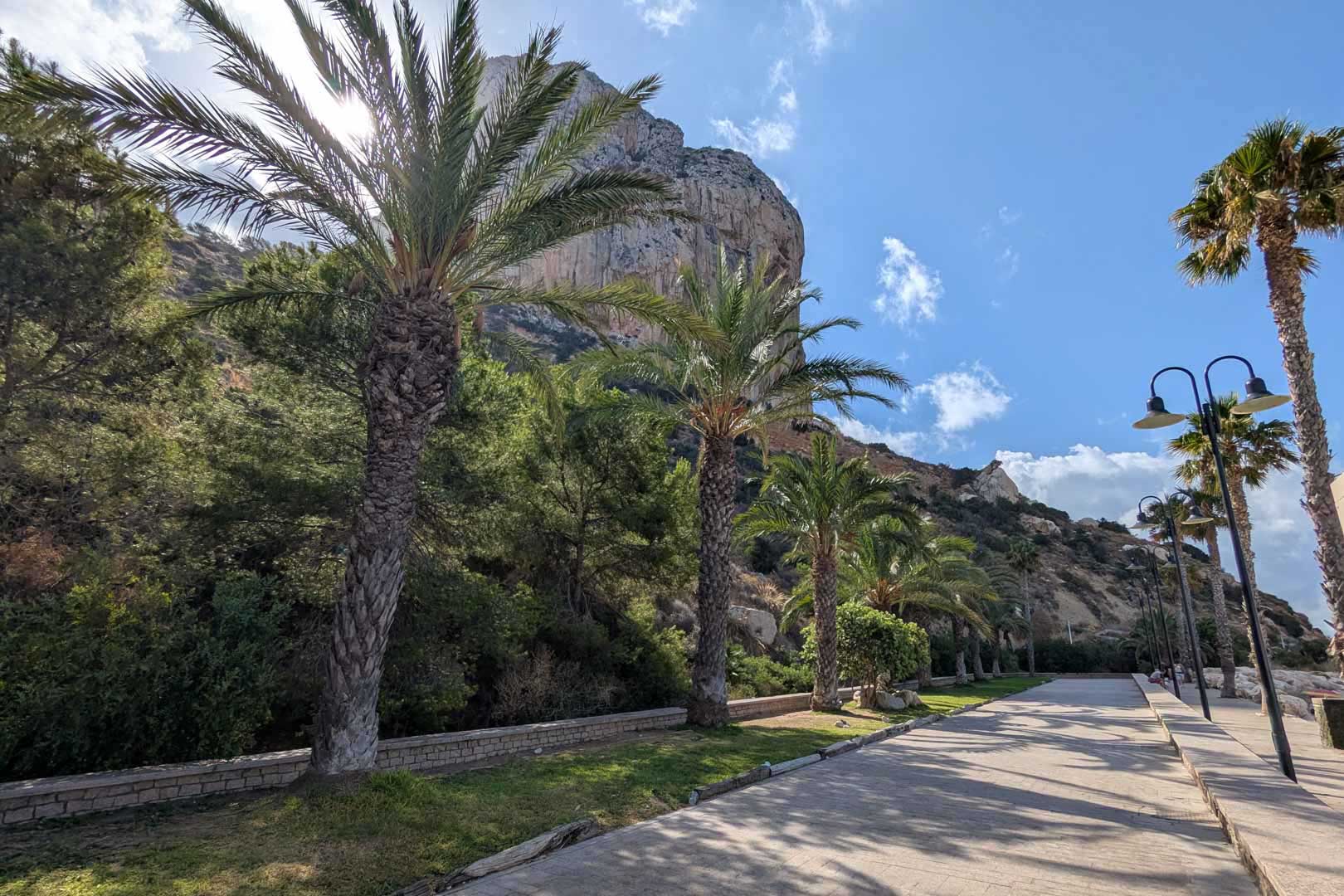 Geplaveide promenade langs de Peñón de Ifach in Calpe, omzoomd met volwassen palmbomen en mediterrane beplanting onder een heldere hemel.