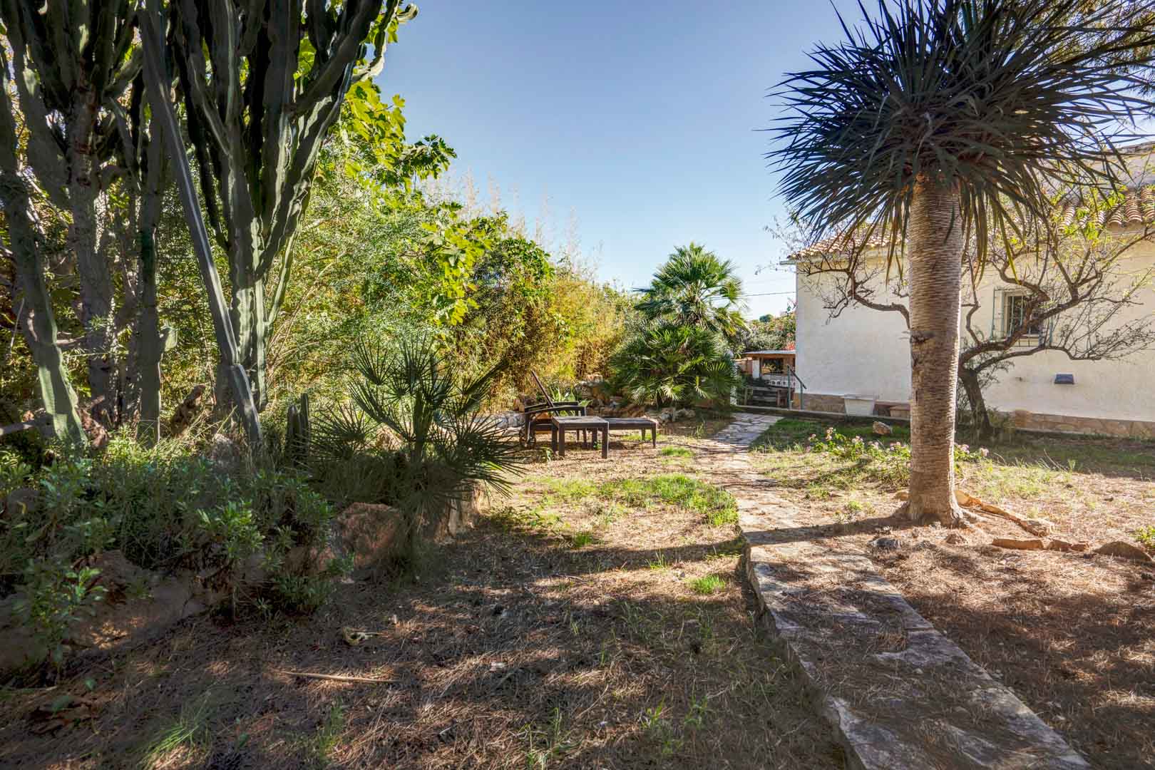 Mediterrane tuin met natuurstenen paden, volgroeide beplanting met palmen en cactussen, en een zithoek buiten naast de witgepleisterde gevel van de woning.