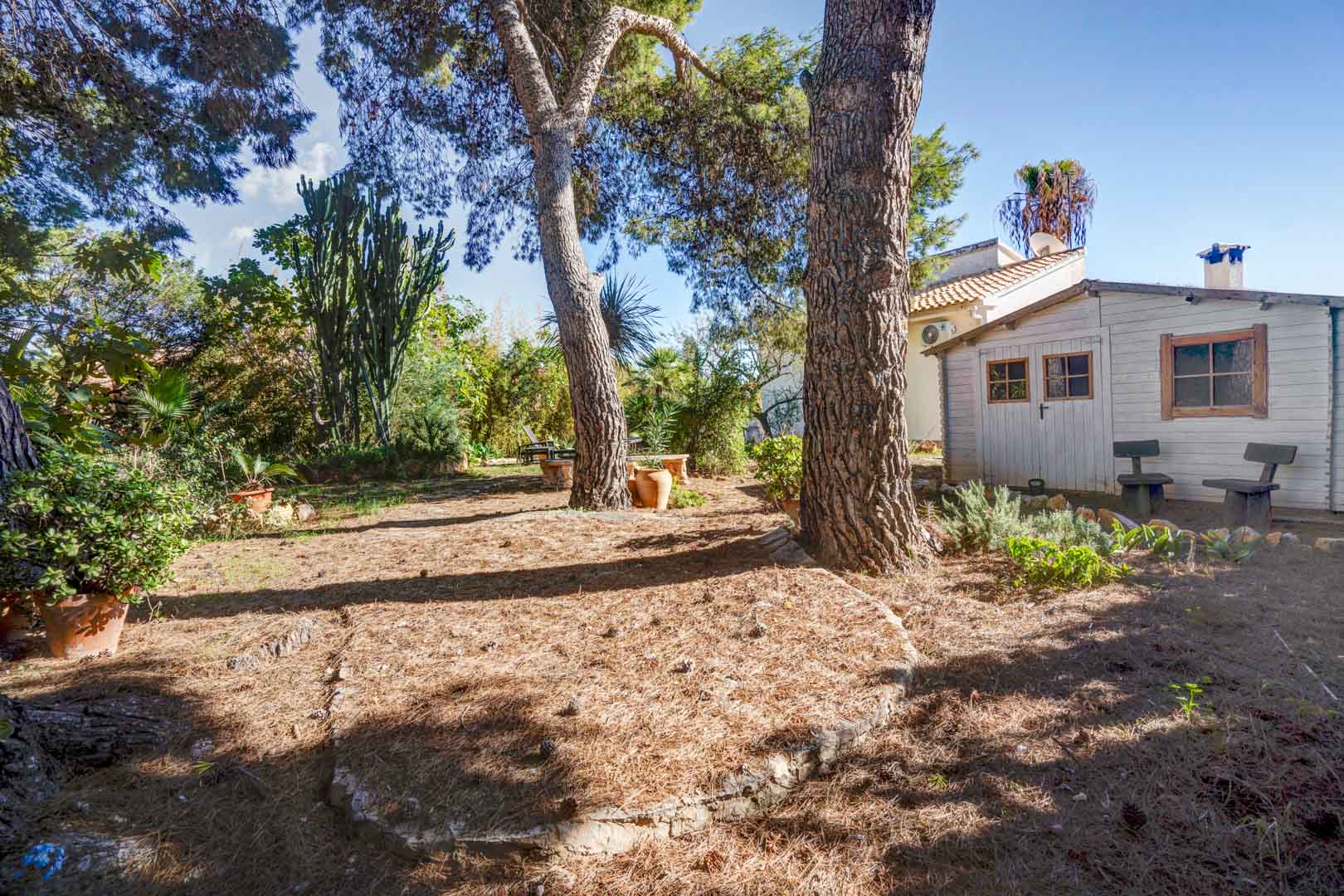 Mediterrane tuin met volwassen pijnbomen, cactussen en een wit houten tuinhuis. De natuurlijke omgeving biedt schaduwrijke plekken en rustieke stenen borders.