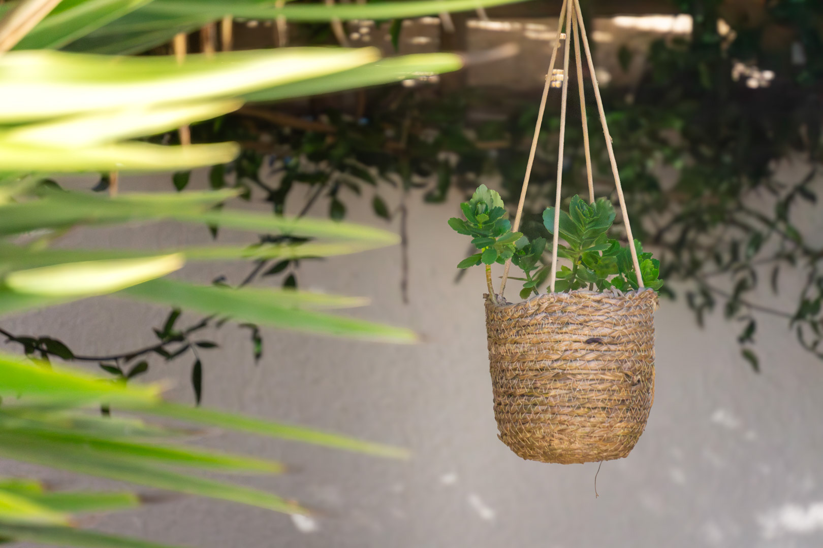 Decoratief detail van een hangende plantenbak van natuurlijke vezels met vetplanten, passend bij de onderhoudsvriendelijke mediterrane tuin en het natuurlijke licht.