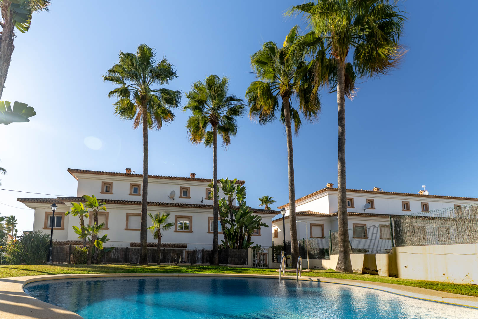 Gemeenschappelijk zwembad met ronde vormen, omgeven door gazons en hoge palmbomen, met zicht op de witte mediterrane gevels en terracotta daken van het complex.
