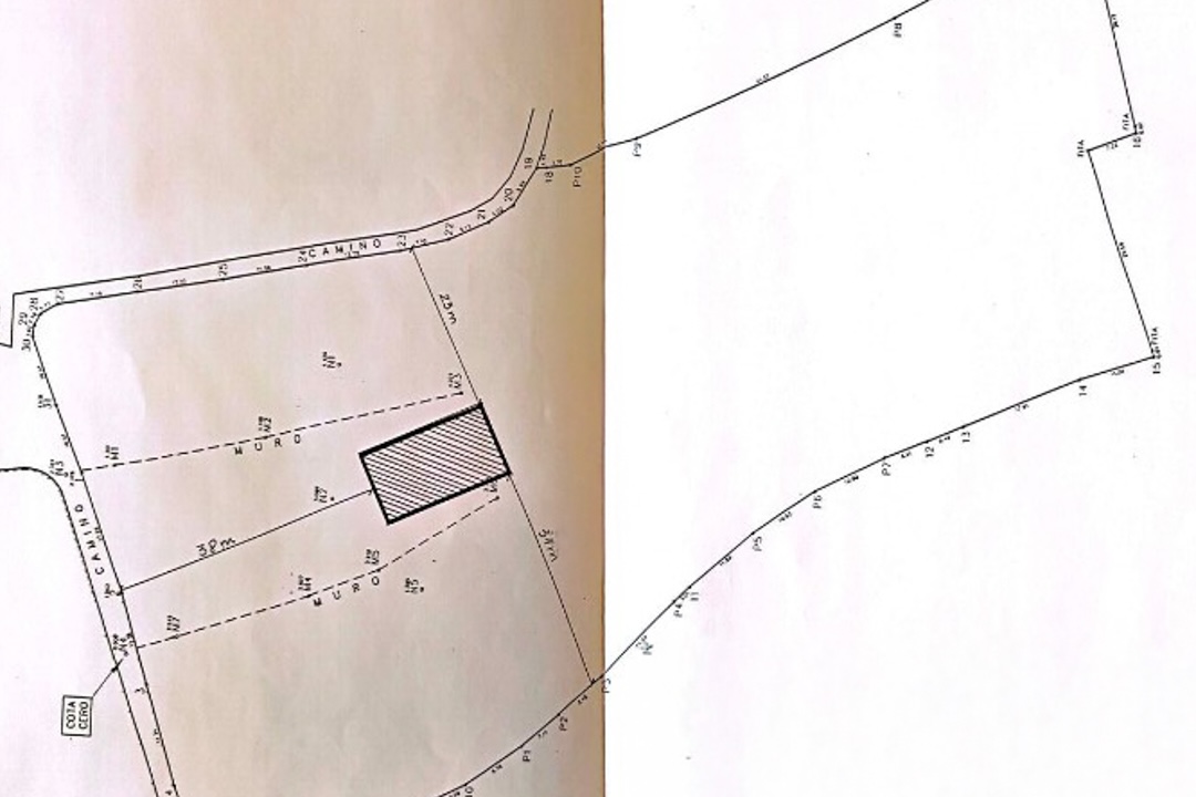 Technische situatietekening met weergave van de perceelsgrenzen, toegangsweg en de gearceerde voetafdruk van een gebouw met afmetingen.