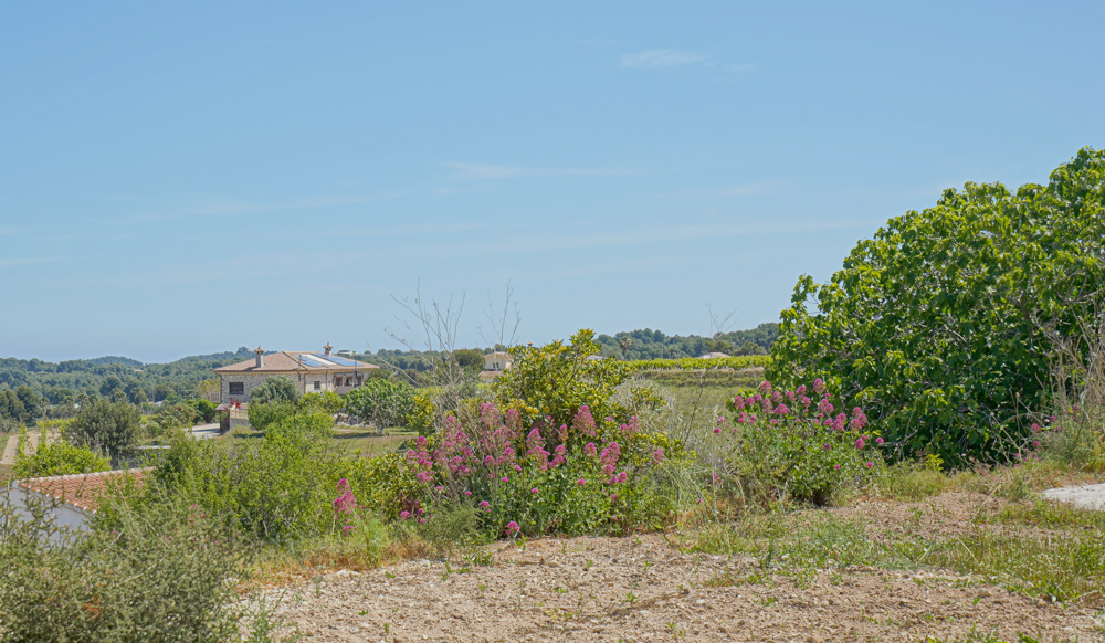 Verhoogd uitzicht op een mediterraan platteland met roze bloeiende struiken, een landhuis met zonnepanelen en verre wijngaarden onder een heldere hemel.