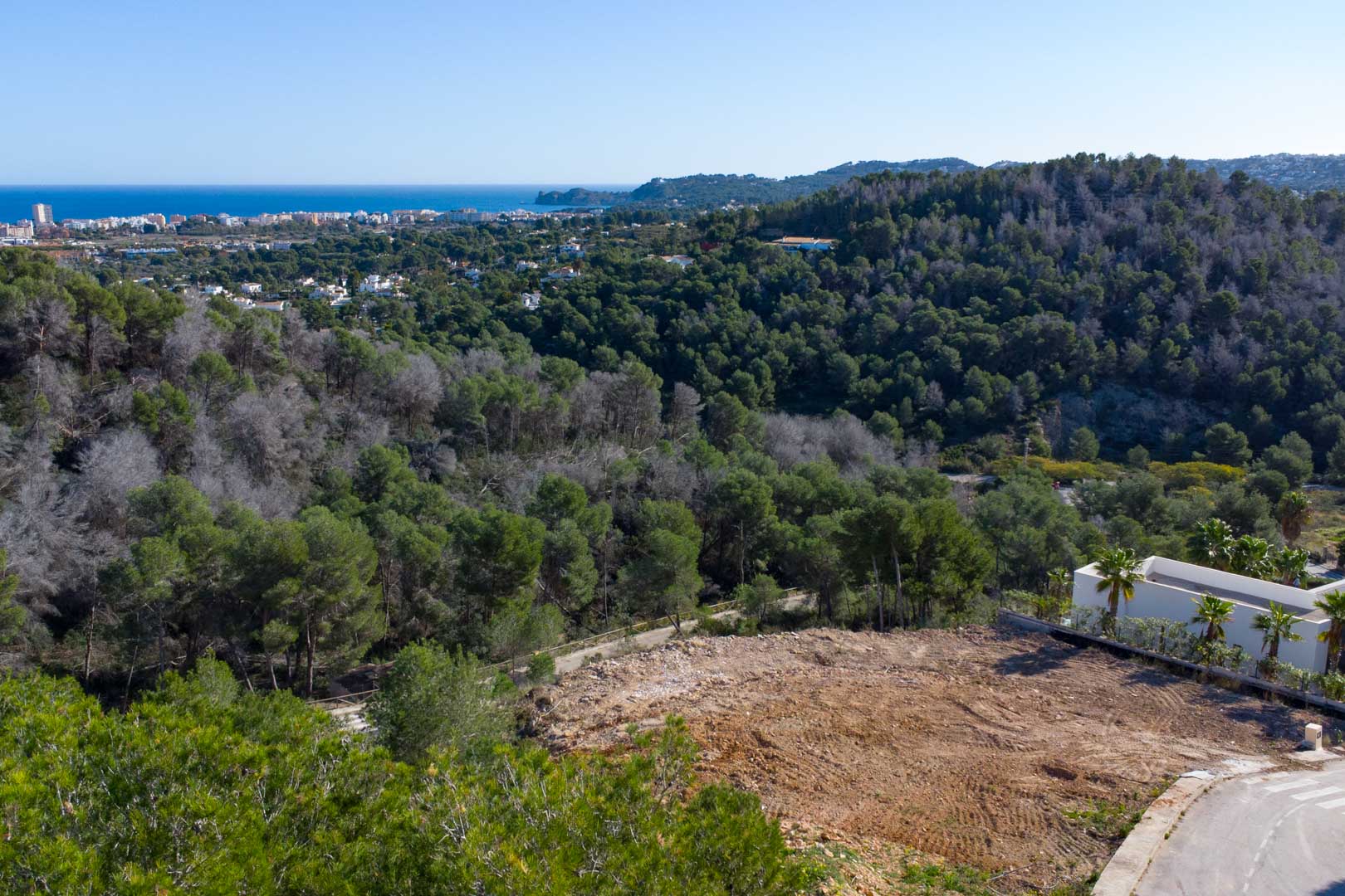 Hooggelegen bouwperceel in Tosalet 5 met panoramisch uitzicht op de Middellandse Zee en de kustlijn van Jávea, omgeven door een groen dennenbos.