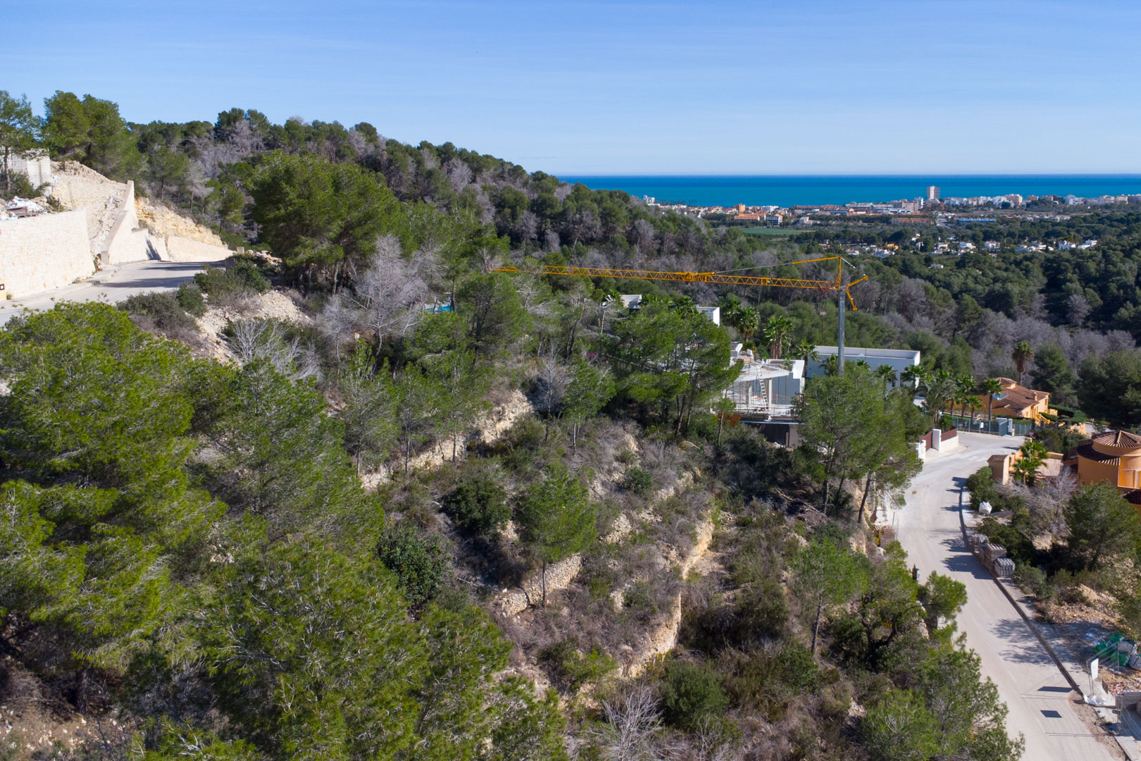 Verhoogd uitzicht op een hellend perceel met mediterrane pijnbomen, stenen muren en panoramisch zicht op de zee en de kustlijn van Jávea.