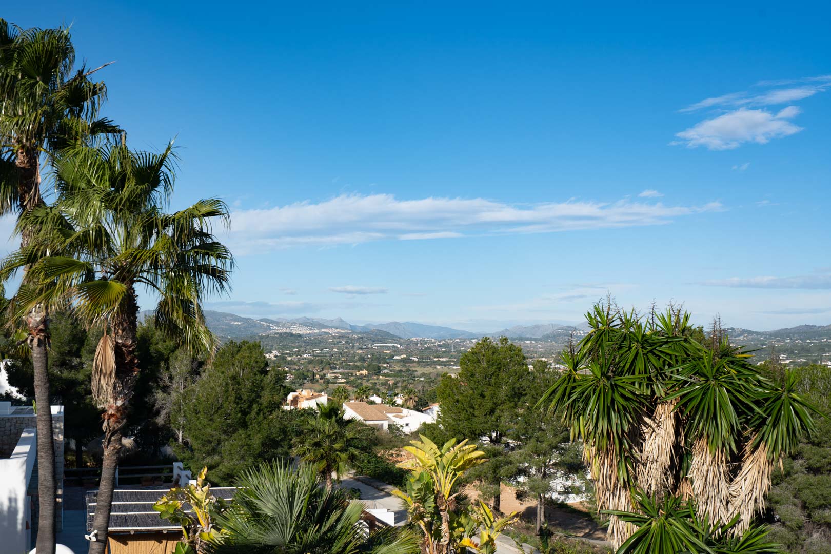Panoramisch uitzicht over de vallei en de omliggende bergen, omlijst door volwassen palmbomen en tropische beplanting vanaf een hooggelegen punt.