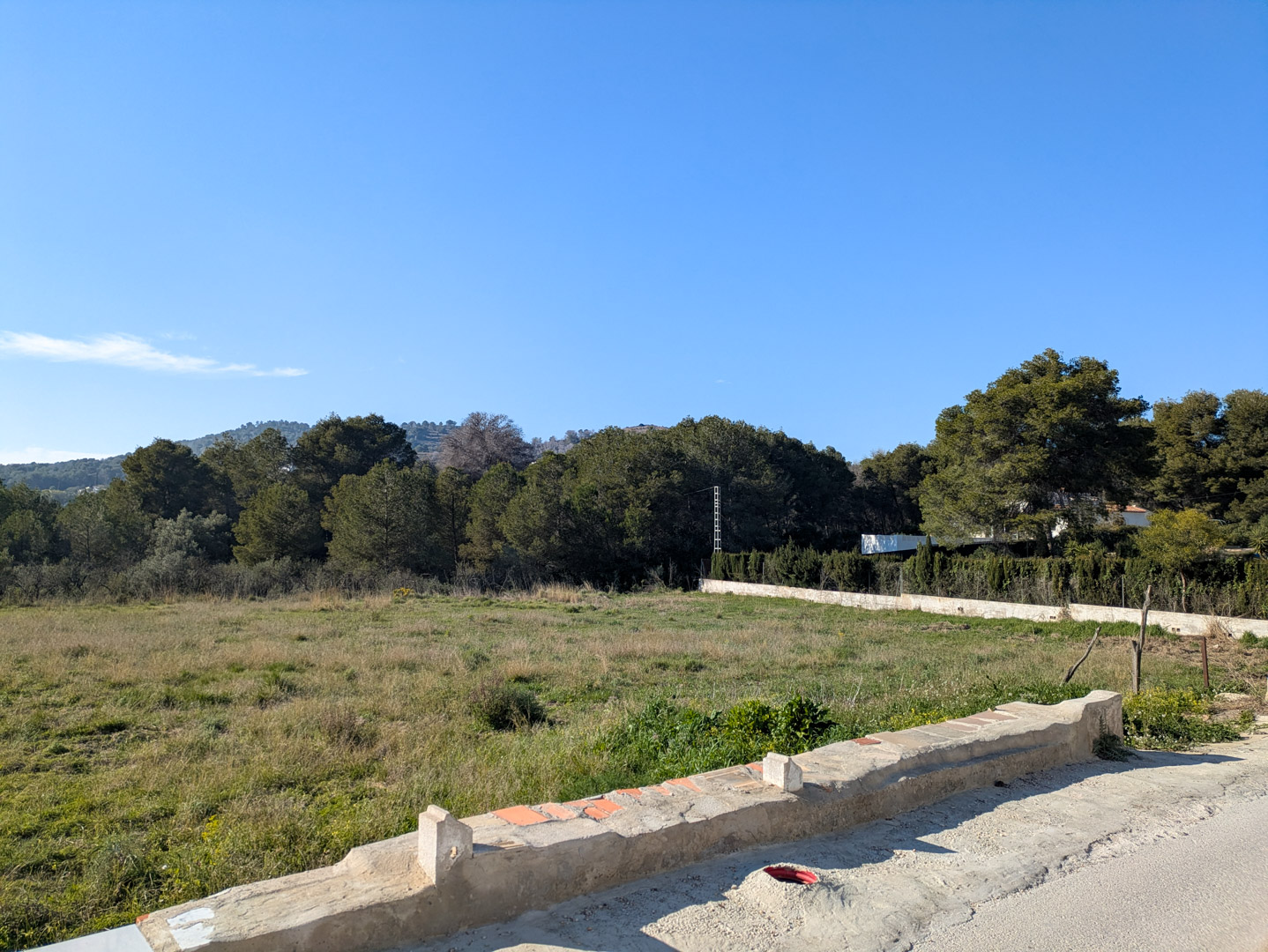 Uitzicht op het uitgestrekte vlakke rustieke perceel omgeven door pijnbomen en mediterrane vegetatie, begrensd door een stenen muur.