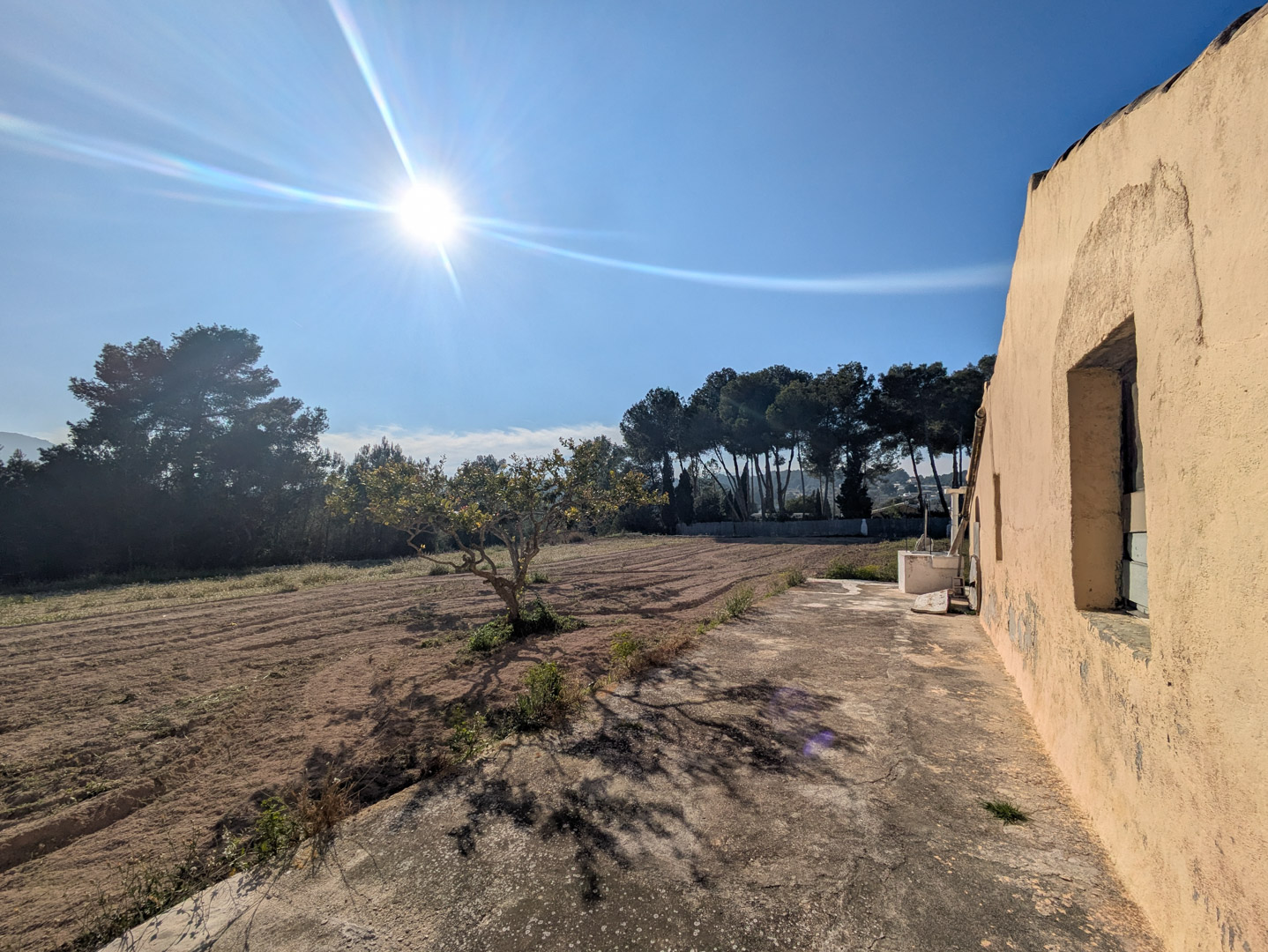 Zijgevel van de finca met okergele muren, een betonnen terras en uitzicht over het vlakke rustieke perceel met pijnbomen in de verte.