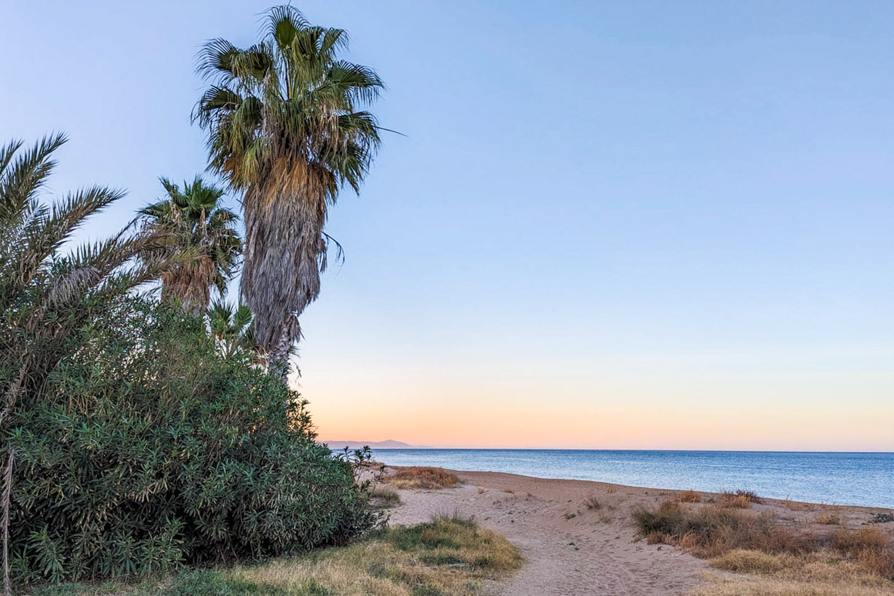 Uitzicht op een zandstrand in Dénia bij zonsondergang, met palmbomen en kustvegetatie langs een pad naar de Middellandse Zee.