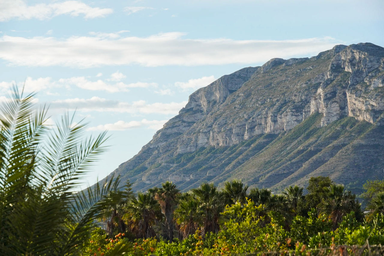 Vrij uitzicht op het Montgó-massief vanaf het perceel, omgeven door mediterrane vegetatie, palmbomen en citrusboomgaarden onder een heldere lucht.