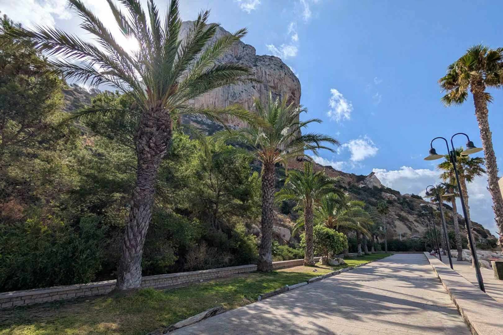 Geplaveide kustpromenade omzoomd met volwassen palmbomen en een direct uitzicht op de iconische rots Peñón de Ifach in Calpe.