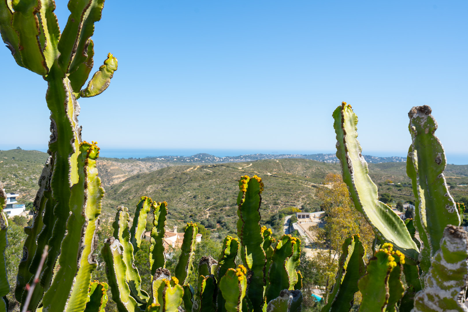 Panoramisch uitzicht op het natuurpark Granadella en de Middellandse Zee, omlijst door volwassen cactussen vanaf het hoger gelegen perceel.
