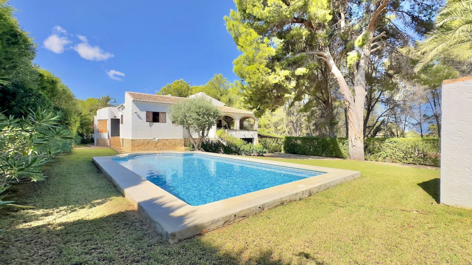 Rechthoekig zwembad met blauwe mozaïektegels, omgeven door een verzorgd groen gazon, met een witte villa met overdekt terras en mediterrane bomen op de achtergrond.