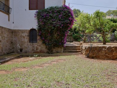 Buitenhoek met stenen basis en witte muur, verfraaid met paarse bougainvillea. Boograam met tralies en stenen treden die naar de tuin leiden.