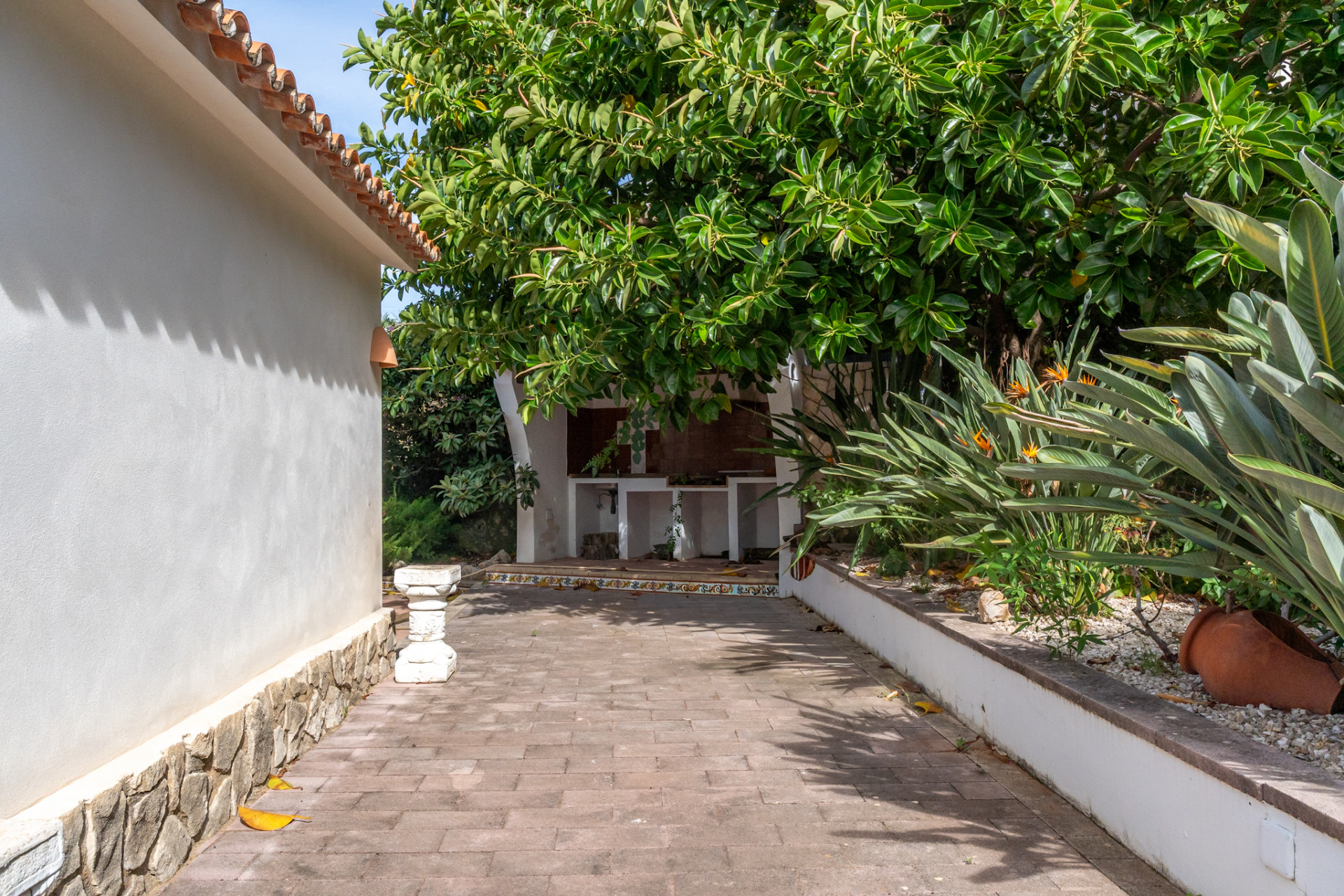 Buitenkeuken met betegeld aanrecht onder een boom, grenzend aan een bestraat pad en mediterrane tuin met Strelitzia's.