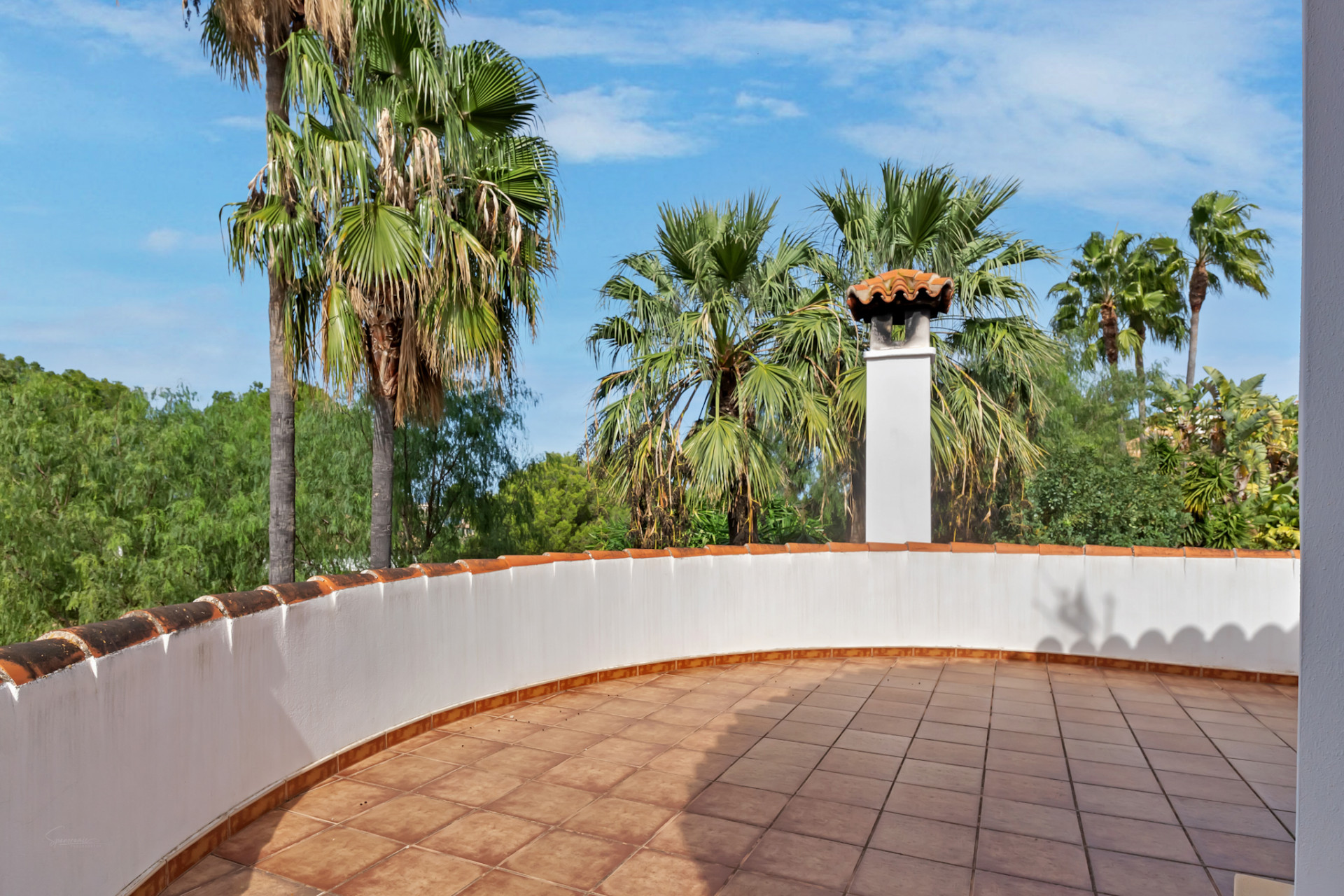 Ruim dakterras met terracotta tegels, een gebogen witte borstwering met traditionele dakpannen en een schoorsteen, omringd door palmbomen onder een blauwe lucht.