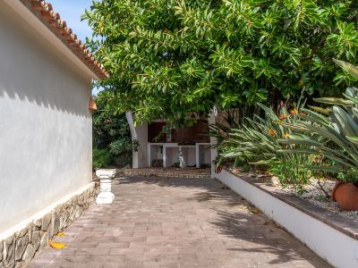 Buitenkeuken met betegeld aanrecht onder een boom, grenzend aan een bestraat pad en mediterrane tuin met Strelitzia's.