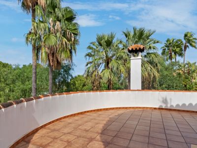 Ruim dakterras met terracotta tegels, een gebogen witte borstwering met traditionele dakpannen en een schoorsteen, omringd door palmbomen onder een blauwe lucht.