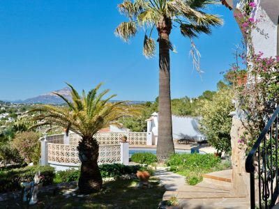 Tuin met zwembad en palmbomen, met nadruk op de mediterrane vegetatie en het berglandschap op de achtergrond.
