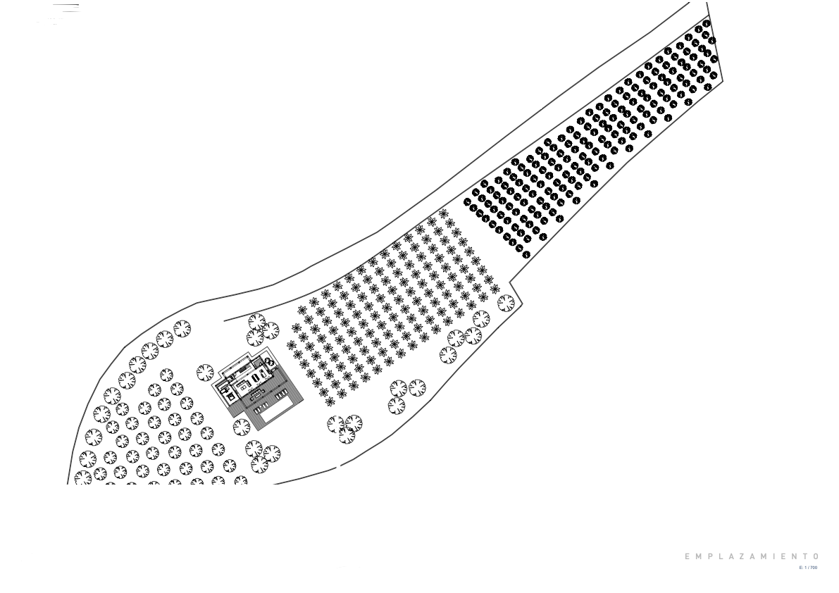 Situatieplan op schaal 1:700 met de voetafdruk van de villa, het zwembad en het uitgestrekte perceel voorzien van een georganiseerde bomenstructuur.