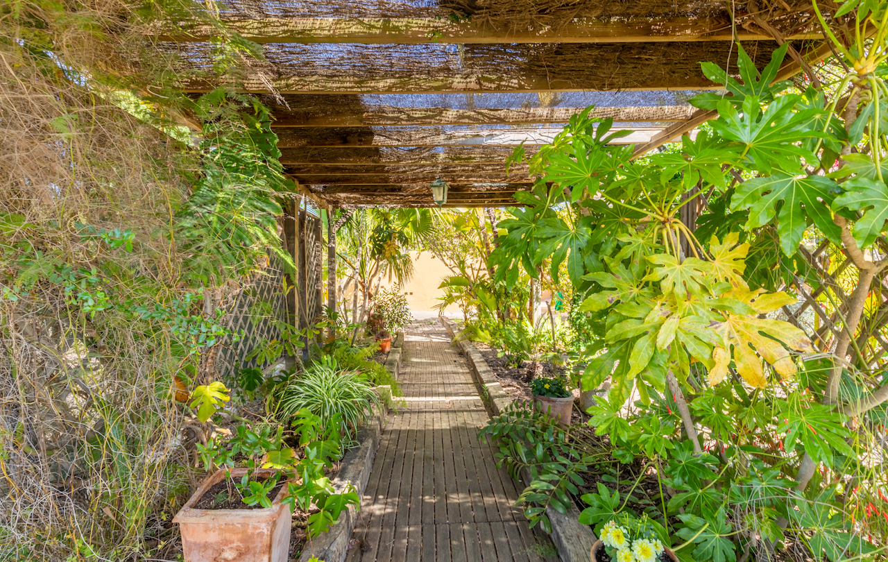 Een houten vlonderpad onder een rustieke pergola met heidematten, omgeven door volgroeide mediterrane beplanting en tropische planten in potten.