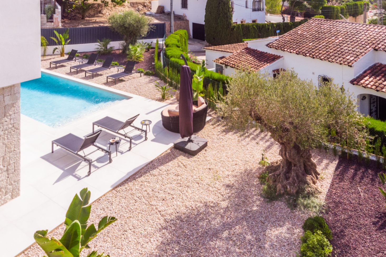 Luchtfoto van het zwembad met ligstoelen en mediterrane tuin met eeuwenoude olijfboom in Benissa.