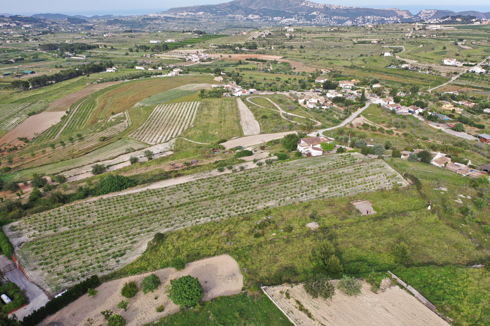 Luchtfoto van het uitgestrekte perceel met muskaatdruivenwijngaarden, gelegen in een mediterraan landschap met panoramisch uitzicht op zee en de bergen.