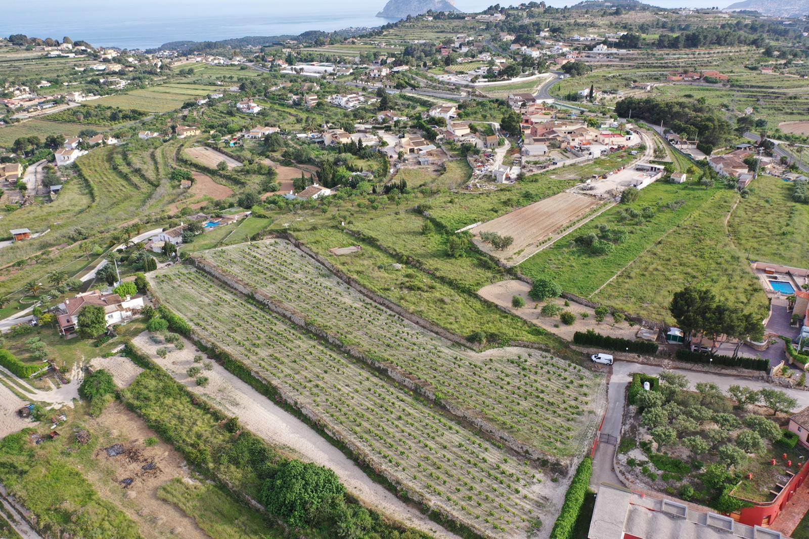 Luchtfoto van het uitgestrekte perceel met terrasvormige moscatel-wijngaarden en een panoramisch uitzicht op de Middellandse Zee en de Peñón de Ifach.