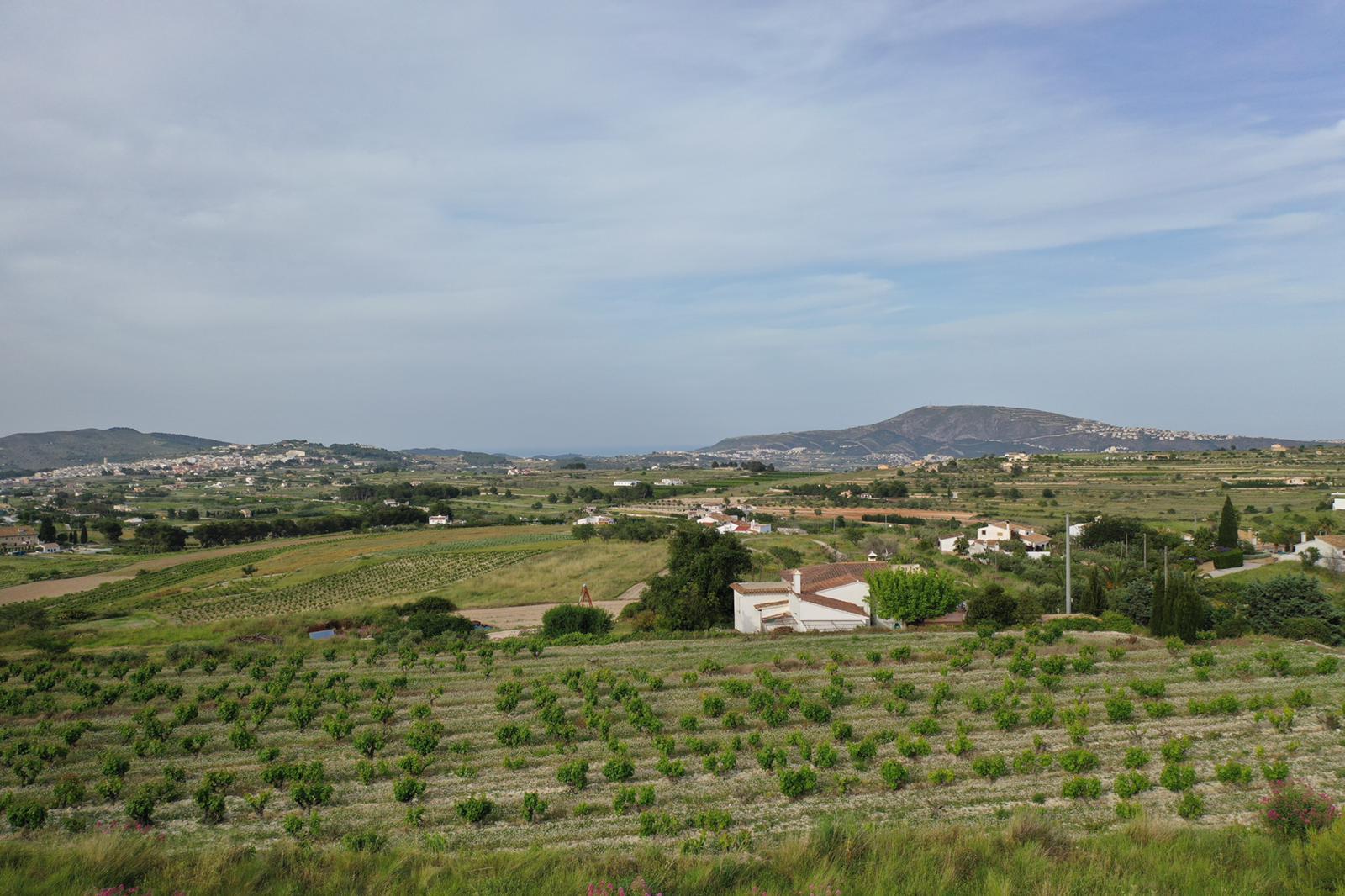 Panoramisch uitzicht op de muskaatdruivenwijngaarden op de voorgrond, met het landelijke landschap en de bergen die zich uitstrekken tot aan de zeehorizon.