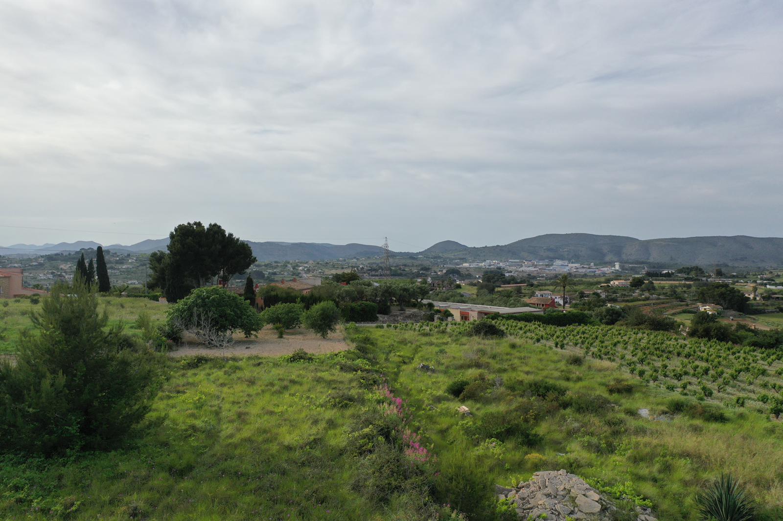 Panoramisch uitzicht over het landgoed met Moscatel-wijngaarden, mediterrane beplanting en de omliggende bergen aan de horizon.
