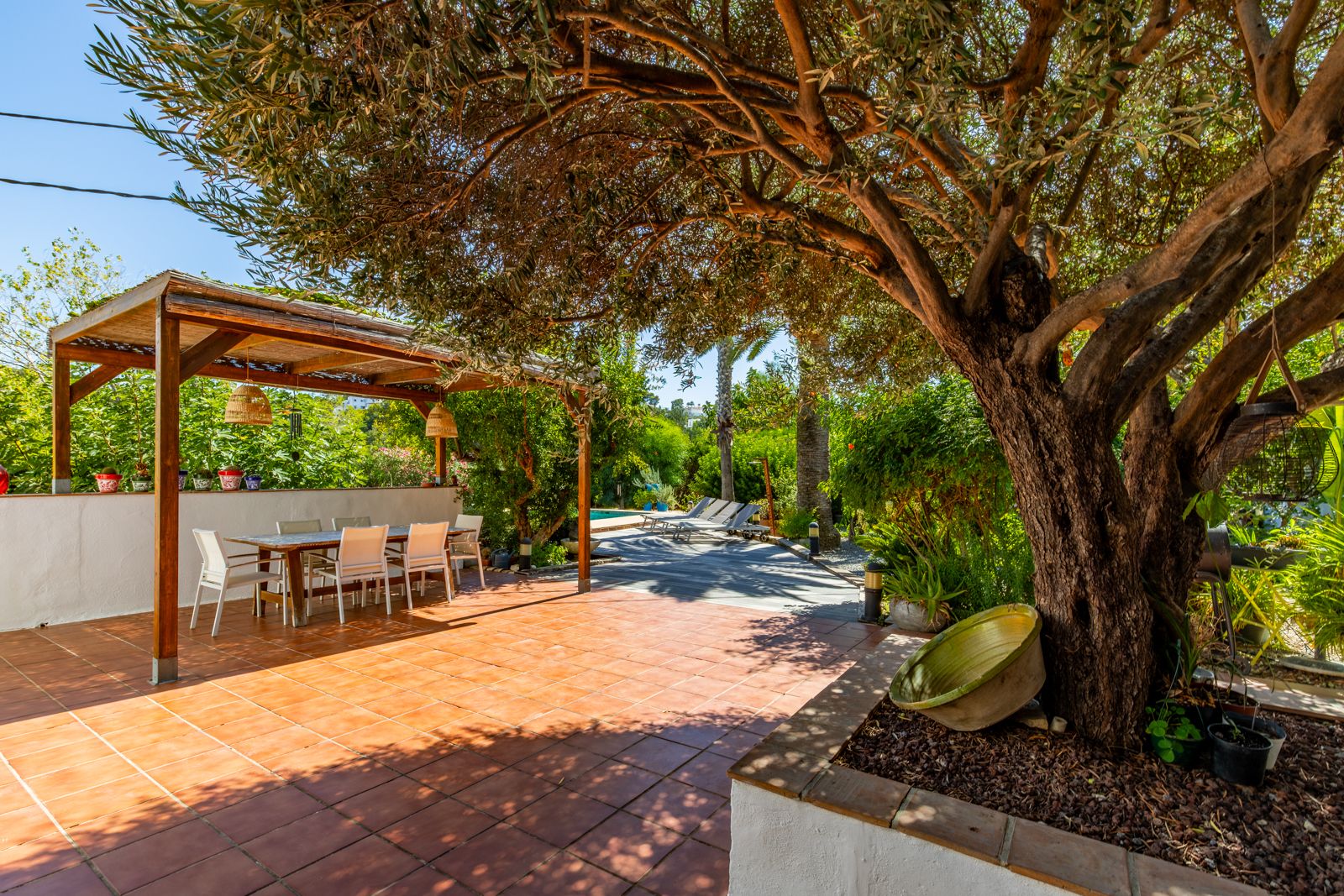 Buitenterras met terracotta tegels, een eethoek onder een houten pergola en een volwassen olijfboom die natuurlijke schaduw biedt in de volgroeide tuin.