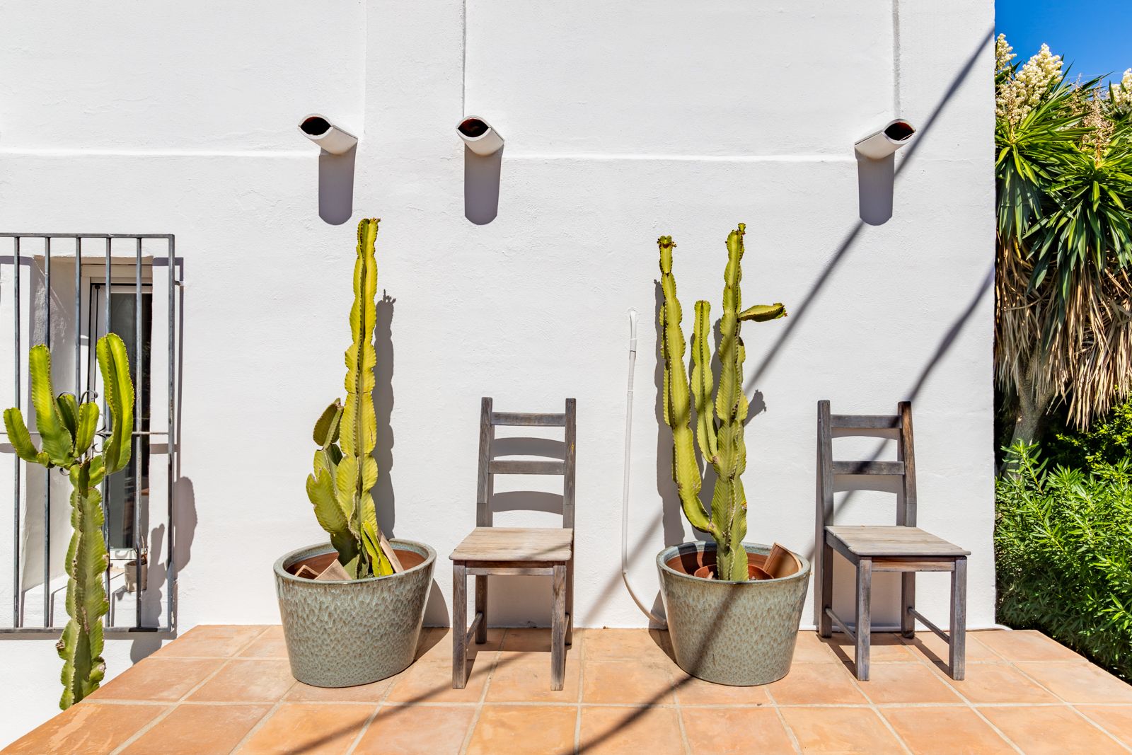 Mediterrane witte gevel met terracotta vloertegels, rustieke houten stoelen en grote cactussen in geglazuurde potten in het natuurlijke zonlicht.