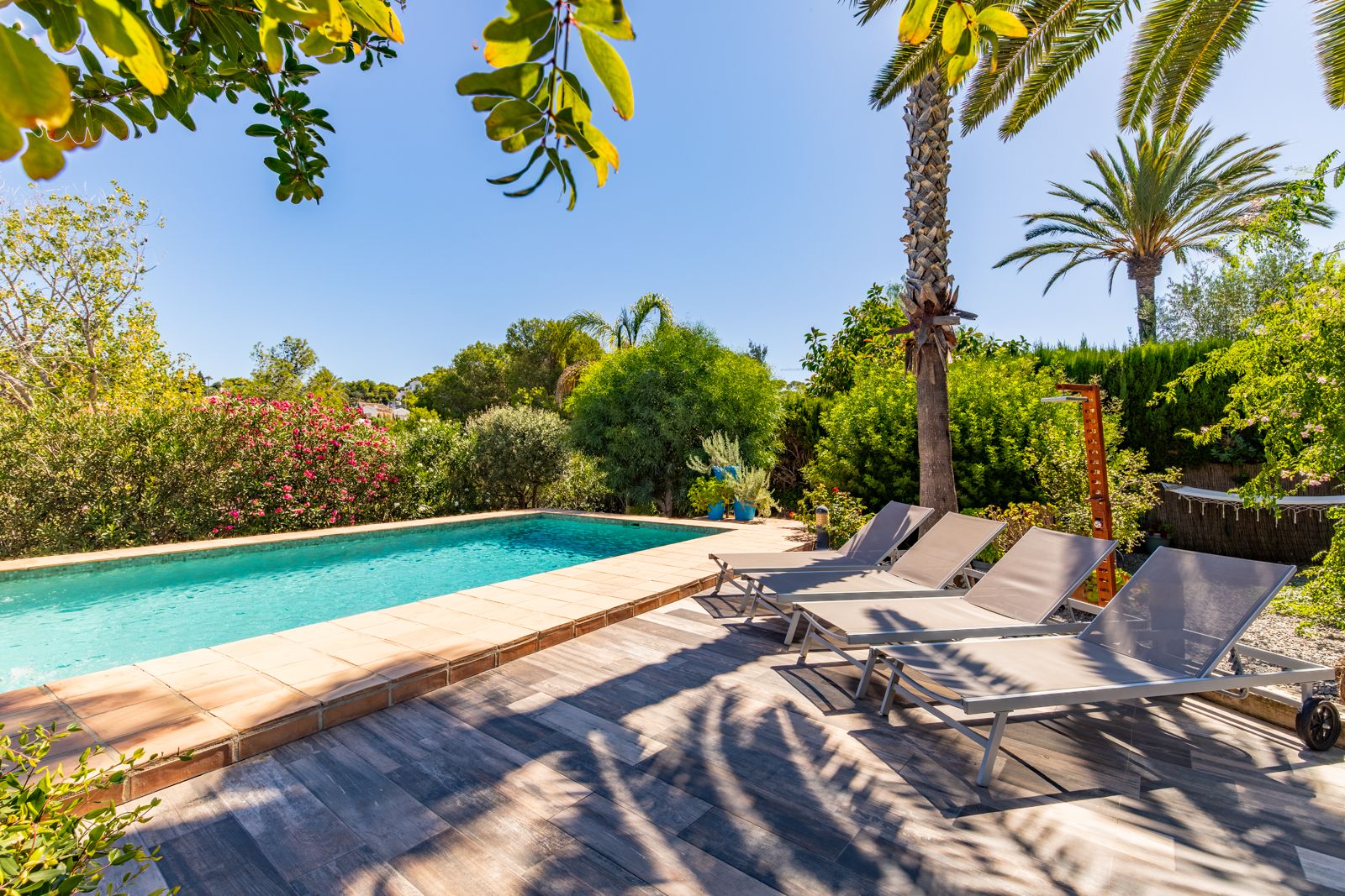 Privézwembad met terracotta rand en betegeld zonneterras met vier ligbedden, gelegen in een weelderige mediterrane tuin met palmbomen.