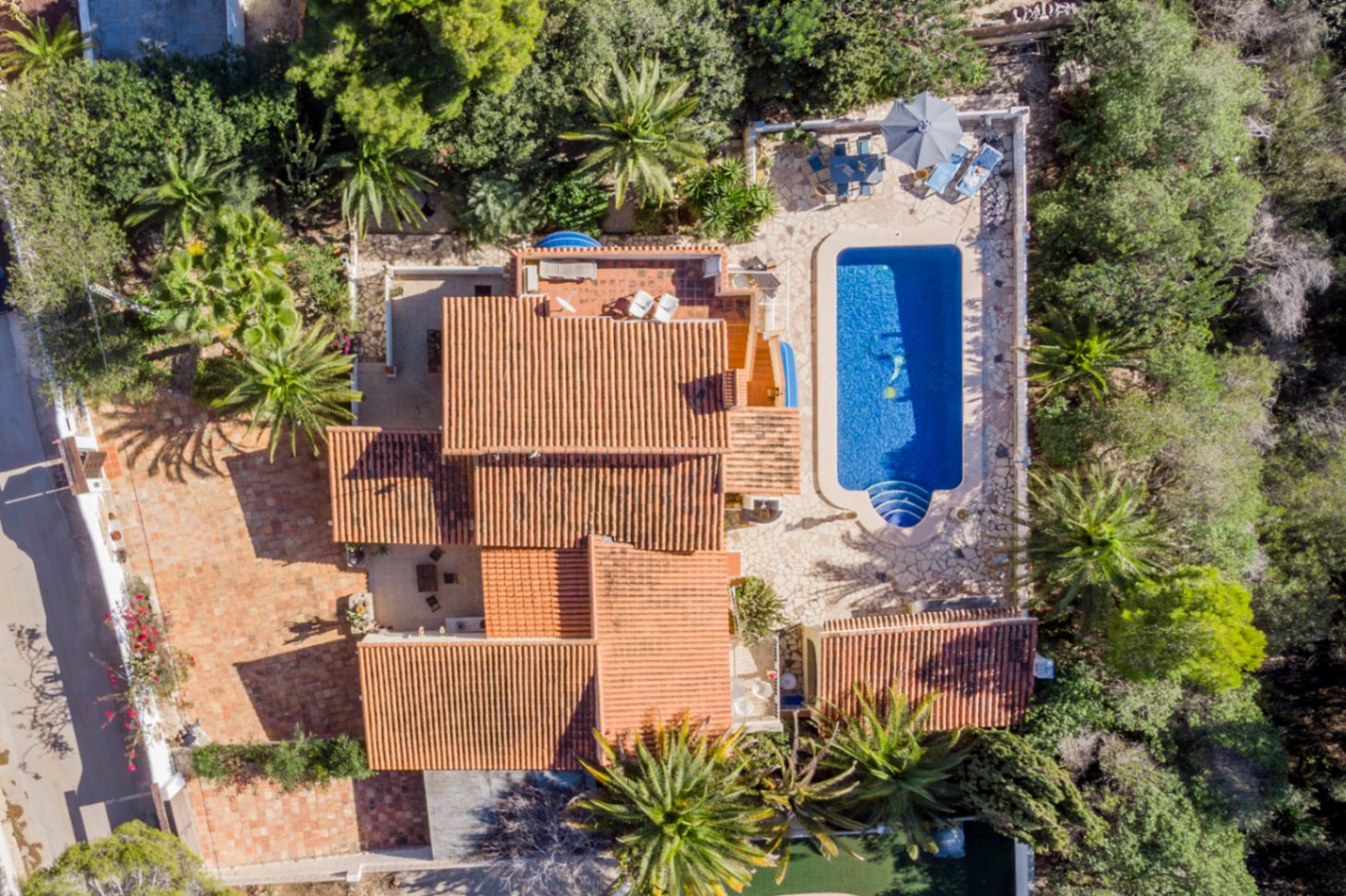 Bovenaanzicht van het perceel van 1.000 m² met het zwembad van 42 m², de terracotta daken en de stenen terrassen omgeven door volwassen mediterrane beplanting.