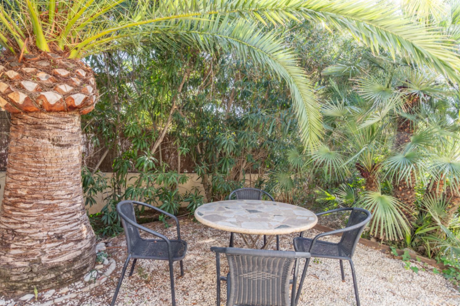 Sfeervolle zithoek in de tuin met een stenen tafel en stoelen, omgeven door volwassen palmbomen en dichte mediterrane beplanting voor privacy.