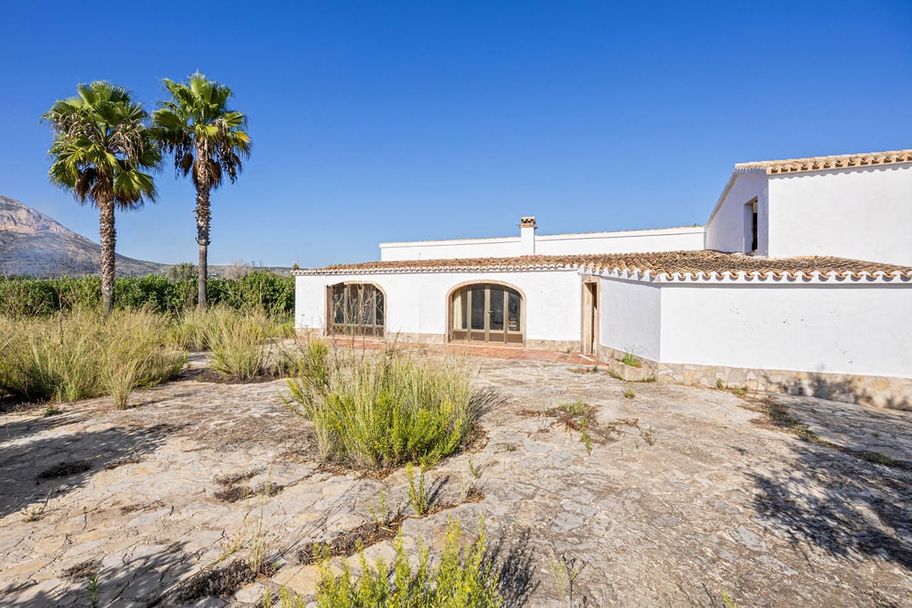 Mediterraan exterieur met witte gevel, pannendak en een ruim natuurstenen terras, omgeven door palmbomen en uitzicht op de bergen.