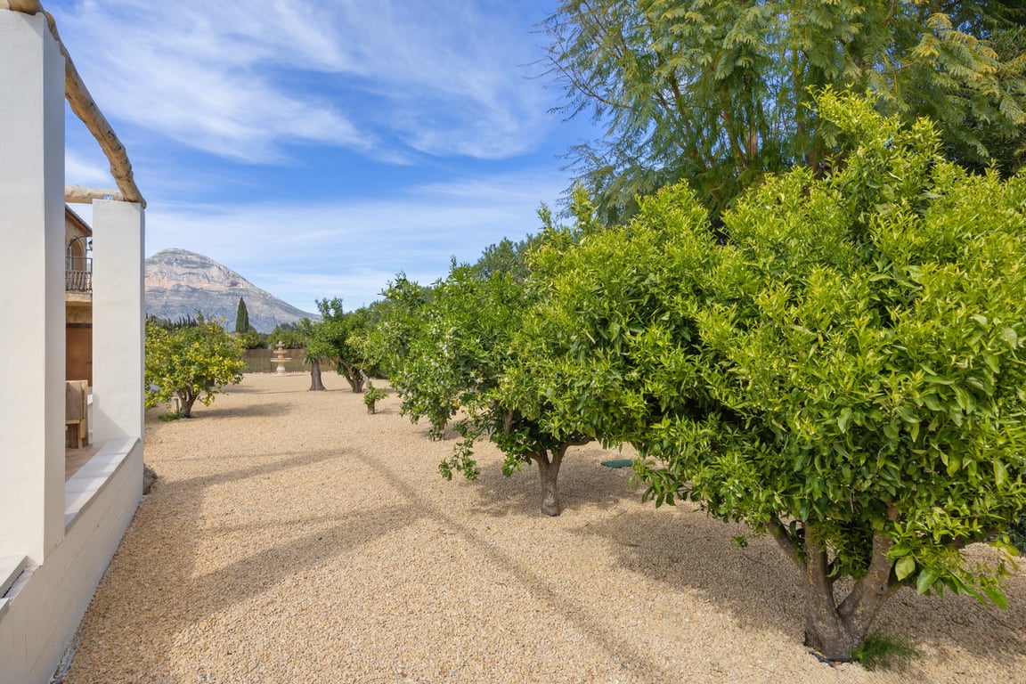 Onderhoudsvriendelijke mediterrane tuin met fruitbomen en grindpaden, met vrij uitzicht op de Montgó en een decoratieve fontein in de verte.