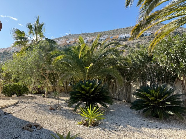 Onderhoudsarme mediterrane tuin met wit grind, volwassen palmbomen en cycas, met uitzicht op de zonnige heuvels van Benitachell.