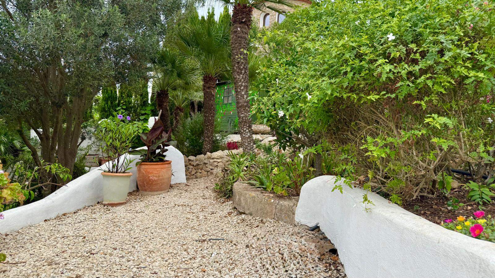 Grindpad in de mediterrane tuin, omzoomd door witgekalkte muren in Ibiza-stijl, terracotta potten en volwassen beplanting met palmen en olijfbomen.