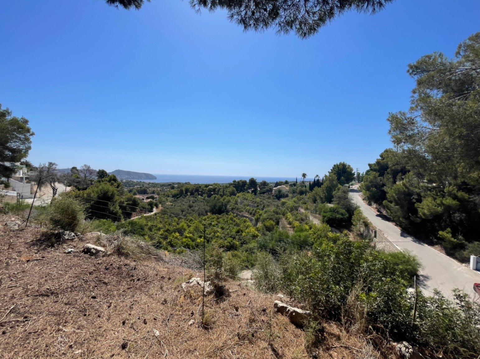 Panoramisch uitzicht op de Middellandse Zee vanaf het hooggelegen perceel, omgeven door pijnbomen en dichte mediterrane vegetatie.