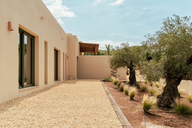 Minimalistische zandkleurige gevel met dubbele beglazing en een mediterrane tuin met oude olijfbomen en decoratief grind.