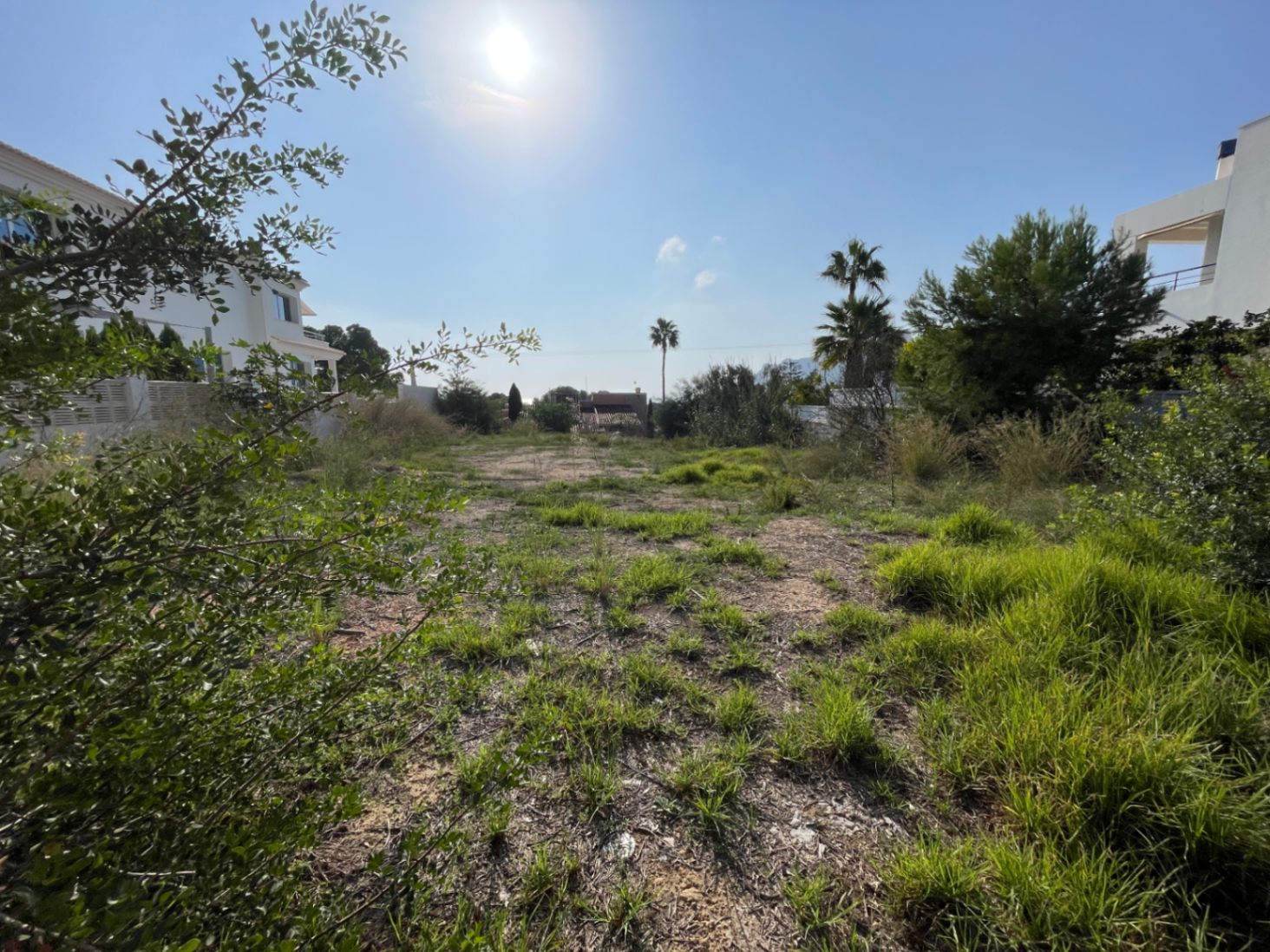 Vlak bouwperceel van 856 m² in Bassetes, Calpe, met een zonnige zuidoriëntatie en omgeven door moderne villa's en mediterrane beplanting.