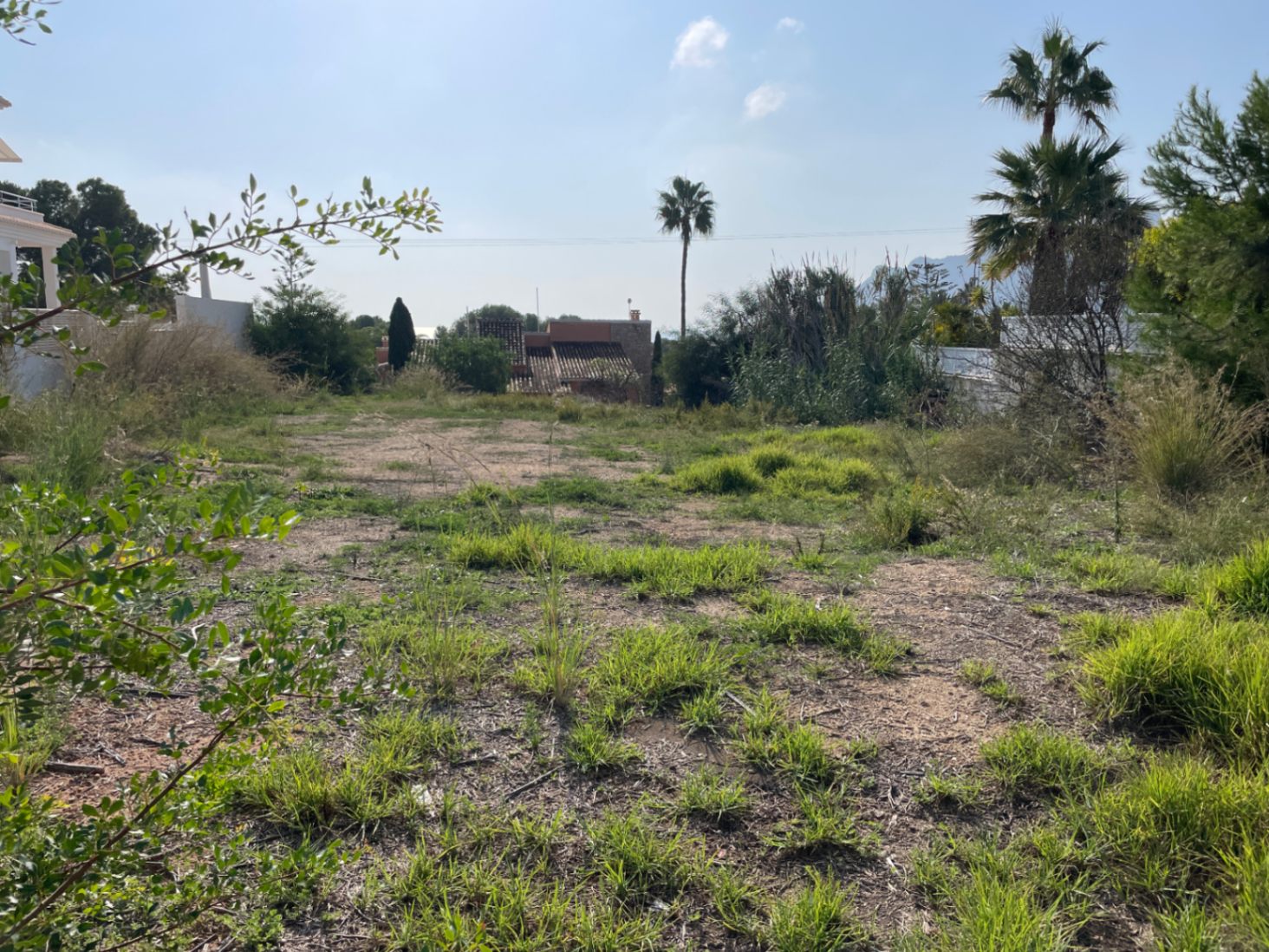 Vlak perceel van 856 m² in Bassetes, Calpe, met mediterrane begroeiing en zuidelijke oriëntatie, geschikt voor de bouw van een vrijstaande villa.