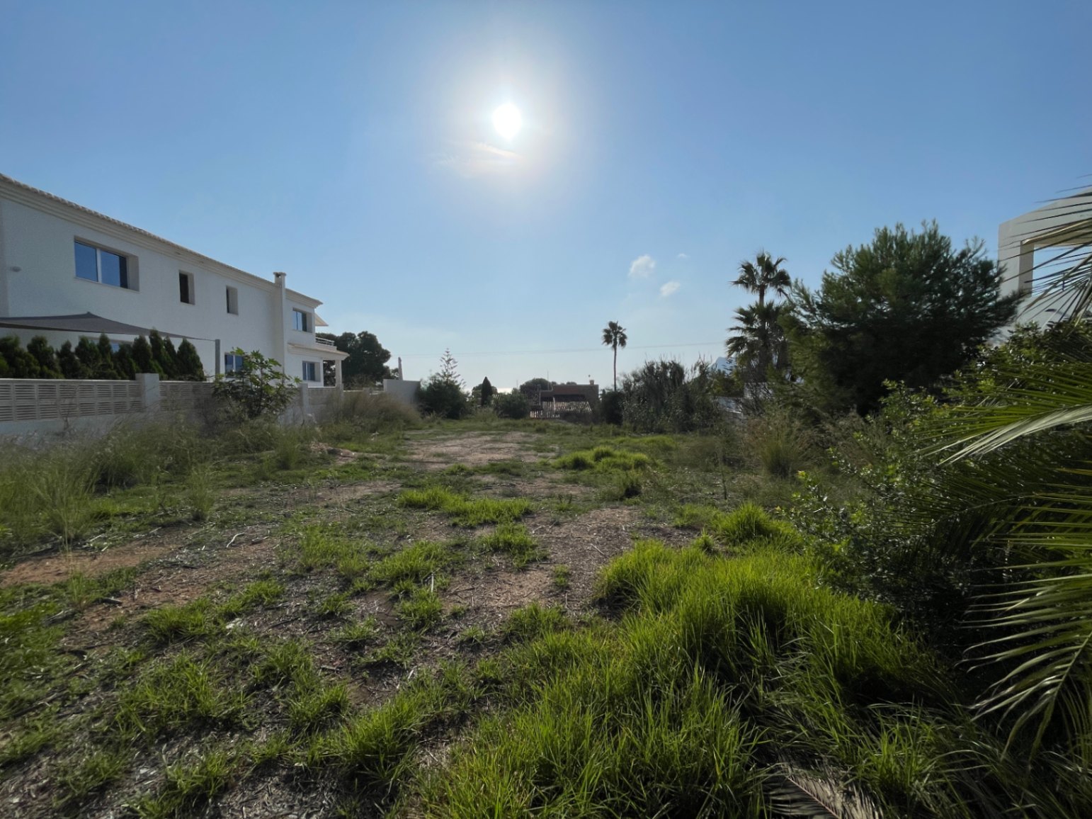 Vlak perceel van 856 m² in Bassetes, Calpe, met zuidelijke oriëntatie en natuurlijke begroeiing, gelegen in een rustige woonwijk nabij moderne villa's.